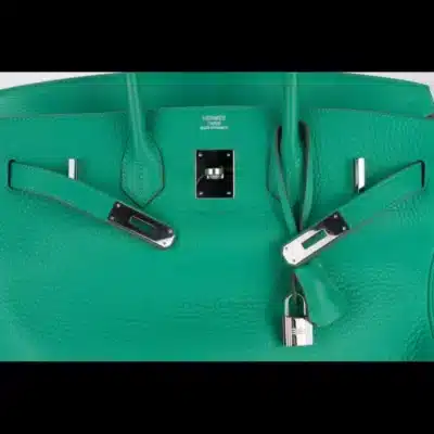 Hermès 2012 Birkin 30 Menthe Clemence Palladium Hardware