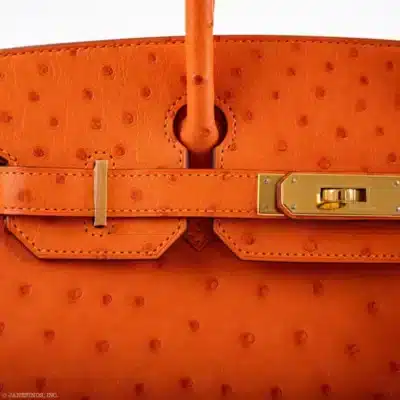 Hermès 2016 Birkin 30 Tangerine Ostrich Gold Hardware