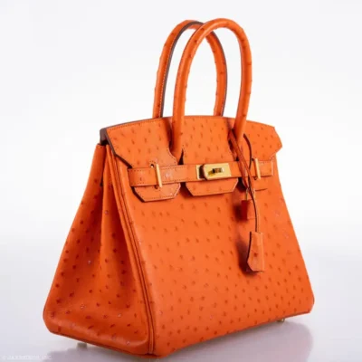 Hermès 2016 Birkin 30 Tangerine Ostrich Gold Hardware