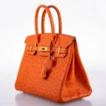 Hermès 2016 Birkin 30 Tangerine Ostrich Gold Hardware