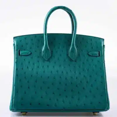 Hermès 2019 Birkin 25 Vert Verone Ostrich Gold Hardware