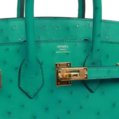 Hermès 2019 Birkin 25 Vert Verone Ostrich Gold Hardware