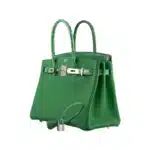 Hermès 2020 Birkin 30 Bambou (Bamboo)/Cactus Matte Niloticus Crocodile & Togo Palladium Hardware