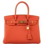 Hermès 2020 Birkin 30 Feu Togo Gold Hardware