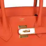 Hermès 2020 Birkin 30 Feu Togo Gold Hardware