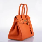 Hermès 2020 Birkin 30 Feu Togo Gold Hardware