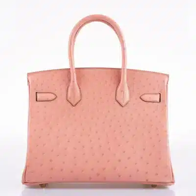 Hermès 2020 Birkin 30 Terre Cuite Ostrich Gold Hardware