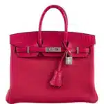 Hermès 2021 Birkin 25 Framboise Togo & Matte Alligator Mississippiensis Palladium Hardware