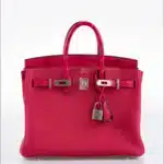 Hermès 2021 Birkin 25 Framboise Togo & Matte Alligator Mississippiensis Palladium Hardware