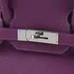 Hermès 2021 Birkin 30 Anemone Togo Palladium Hardware