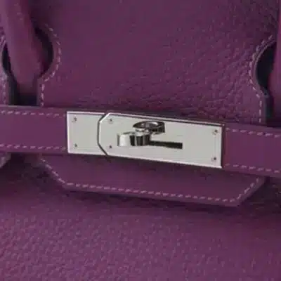 Hermès 2021 Birkin 30 Anemone Togo detail2