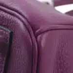 Hermès 2021 Birkin 30 Anemone Togo Palladium Hardware