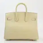 Hermès 2022 Birkin 25 Vanille Matte Alligator Mississippiensis Palladium Hardware