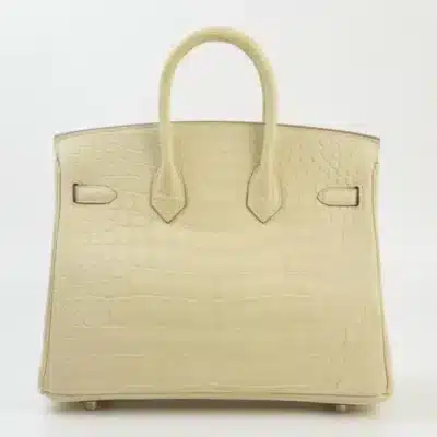 Hermès 2022 Birkin 25 Vanille Matte Alligator Mississippiensis Palladium Hardware