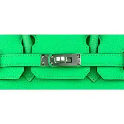 Hermès 2023 Birkin 25 Vert Comics Green Togo Palladium Hardware