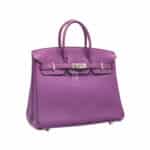 Hermès Birkin 25 Anemone Togo Palladium Hardware