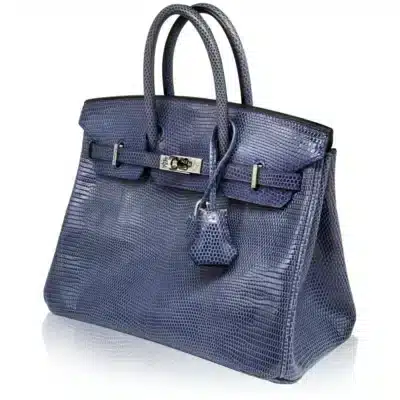 Hermès Birkin 25 Brighton Blue Niloticus Lizard Palladium Hardware