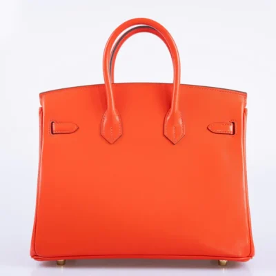 Hermès Birkin 25 Capucine Tadelakt Gold Hardware