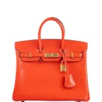 Hermès Birkin 25 Capucine Tadelakt Gold Hardware