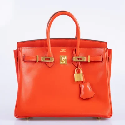 Hermès Birkin 25 Capucine Tadelakt Gold Hardware