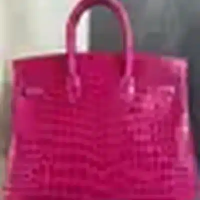 Hermès Rare Collectible Birkin 25 Fuchsia And White Shiny Porosus Crocodile Diamond Encrusted 18k White Gold