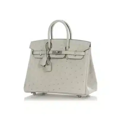 Hermès Birkin 25 Gris Perle Verso Ostrich Palladium Hardware