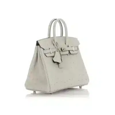 Hermès Birkin 25 Gris Perle Verso Ostrich Palladium Hardware