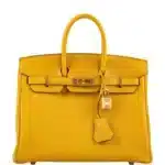 Hermès Birkin 25 Jaune Ambre Togo Gold Hardware