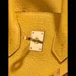 Hermès Birkin 25 Jaune Ambre Togo Gold Hardware