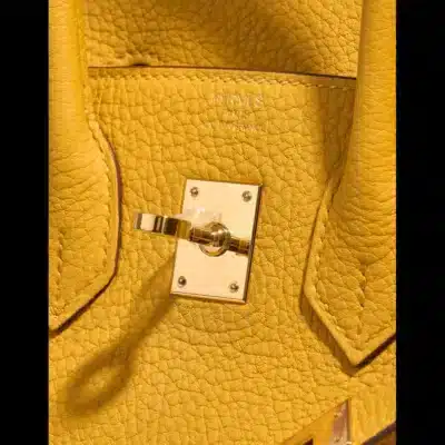 Hermès Birkin 25 Jaune Ambre Togo Gold Hardware