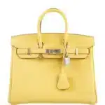 Hermès Birkin 25 Jaune Poussin Togo Palladium Hardware