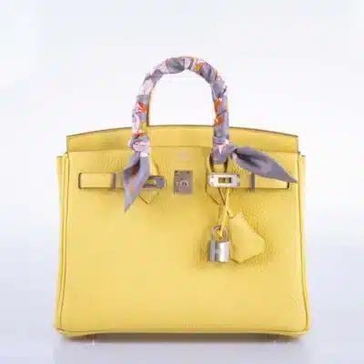 Hermès Birkin 25 Jaune Poussin Togo Palladium Hardware