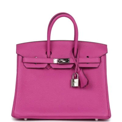 Hermès Birkin 25 Magnolia Togo Palladium Hardware