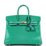 Hermès Birkin 25 Menthe Varanus Niloticus Lizard Gold Hardware