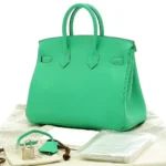 Hermès Birkin 25 Mint Y Engraved Swift Silver Hardware