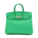 Hermès Birkin 25 Mint Y Engraved Swift Silver Hardware