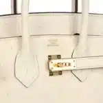 Hermès Birkin 25 Nata Ostrich Gold Hardware