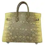 Hermès Birkin 25 Multicolor Ombre Lizard Palladium Hardware