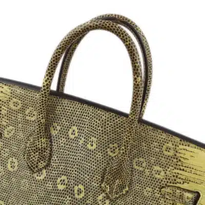 Hermès Birkin 25 Multicolor Ombre Lizard Palladium Hardware