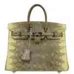 Hermès Birkin 25 Multicolor Ombre Lizard Palladium Hardware