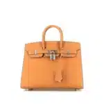 Hermès Birkin 25 Orange Epsom Silver Hardware