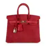 Hermès Birkin 25 Rouge Vif Suede Doblis Gold Hardware