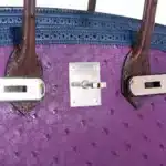 Hermès HSS Guilles Birkin 30 Tri-Color Violine Blue De Malt And Marron Ostrich Palladium Hardware