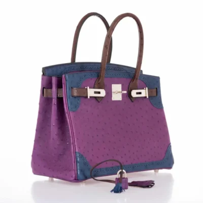 Hermès HSS Guilles Birkin 30 Tri-Color Violine Blue De Malt And Marron Ostrich Palladium Hardware