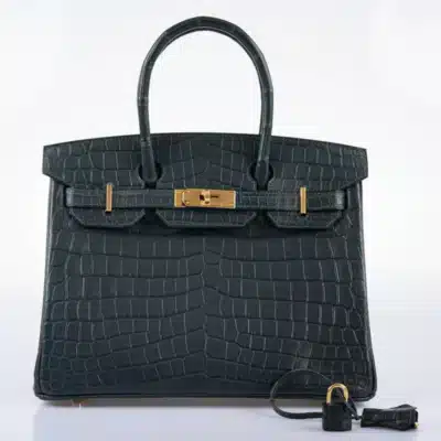 Hermès Birkin 25 Mykonos Lizard Palladium Hardware