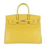 Hermès Birkin 35 Mimosa Matte Alligator Mississippiensis Palladium Hardware