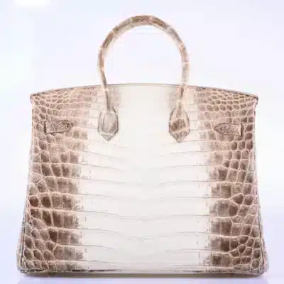 Hermès Rare Collectible Diamond Birkin 35 Himalaya Crocodile Diamond Encrusted 18k White Gold Hardware