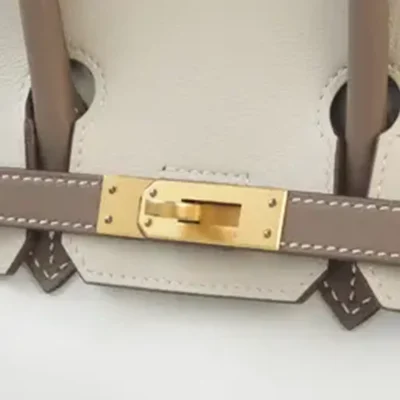 Hermès HSS 2014 Birkin 25 Etoupe/Parchemin/White Swift Brushed Gold Hardware