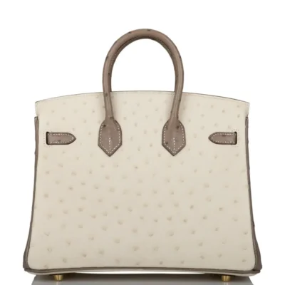 Hermès HSS Birkin 25 Beton And Gris Asphalte Ostrich Brushed Gold Hardware