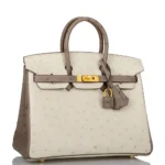 Hermès HSS Birkin 25 Beton And Gris Asphalte Ostrich Brushed Gold Hardware